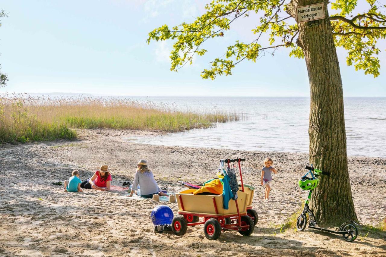 Mueritzparadies - Feriendorf Alte Fahrt Рехлин Экстерьер фото